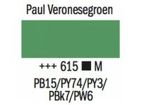 AMSTERDAM SPUITBUS 400ML 615 PAUL VERONESEGROEN